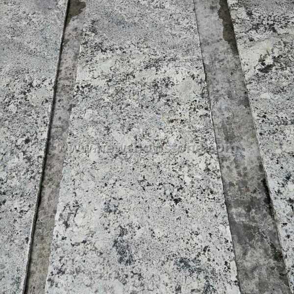 Polished Alaska white granite Countertop
