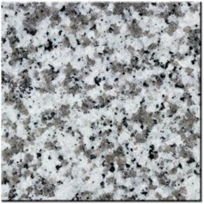 NSG036 Big White Flower Granite