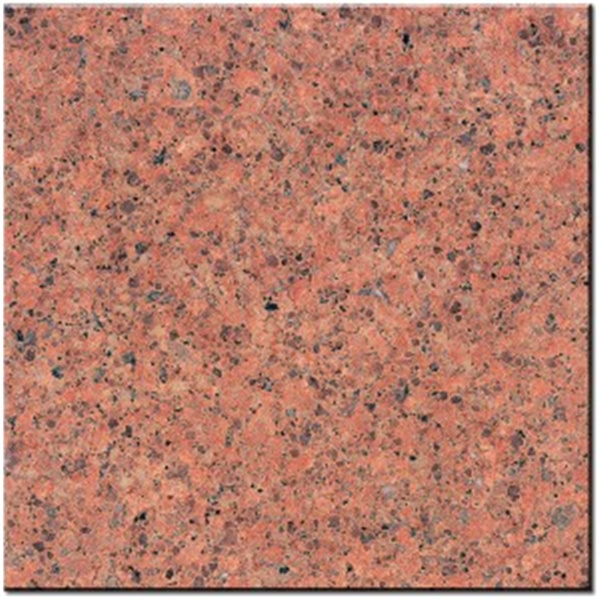NSG202 Begonia Red Granite